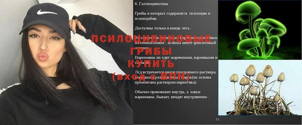 apvp Арсеньев