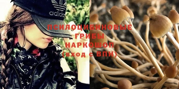 эйфоретик Аркадак